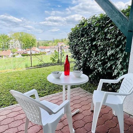 Studio Eglantine A Cambo-Les-Bains, Proche Thermes, Terrasse, Parking, Acces Internet, Animaux Ok - Fr-1-495-106 المظهر الخارجي الصورة